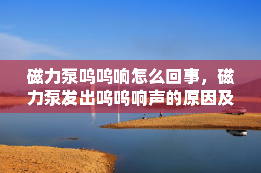 磁力泵呜呜响怎么回事，磁力泵发出呜呜响声的原因及解决方法