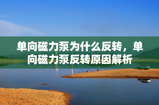 单向磁力泵为什么反转，单向磁力泵反转原因解析