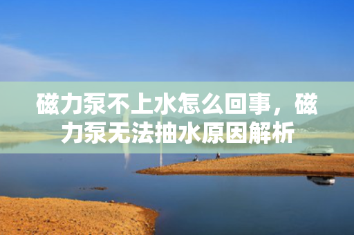 磁力泵不上水怎么回事，磁力泵无法抽水原因解析