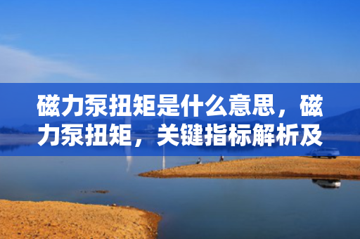 磁力泵扭矩是什么意思，磁力泵扭矩，关键指标解析及其影响因素