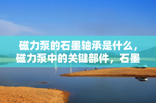 磁力泵的石墨轴承是什么，磁力泵中的关键部件，石墨轴承解析