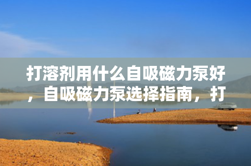 打溶剂用什么自吸磁力泵好，自吸磁力泵选择指南，打溶剂的理想之选