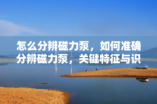 怎么分辨磁力泵，如何准确分辨磁力泵，关键特征与识别方法