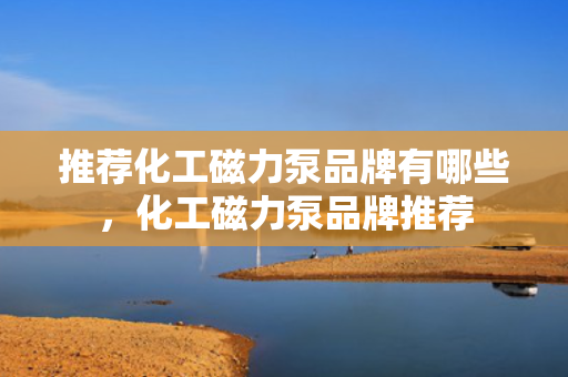 推荐化工磁力泵品牌有哪些，化工磁力泵品牌推荐