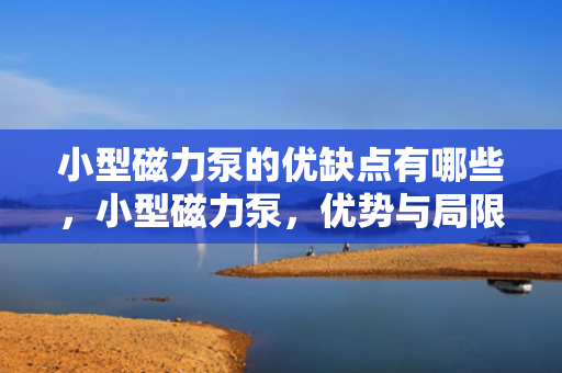 小型磁力泵的优缺点有哪些，小型磁力泵，优势与局限一览