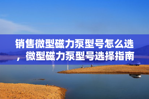 销售微型磁力泵型号怎么选，微型磁力泵型号选择指南，如何挑选适合的销售型号