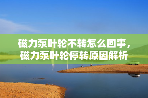 磁力泵叶轮不转怎么回事，磁力泵叶轮停转原因解析