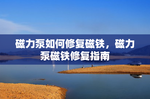 磁力泵如何修复磁铁，磁力泵磁铁修复指南