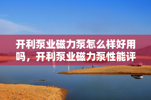 开利泵业磁力泵怎么样好用吗，开利泵业磁力泵性能评测，是否好用一探究竟