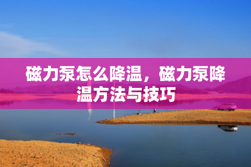 磁力泵怎么降温，磁力泵降温方法与技巧