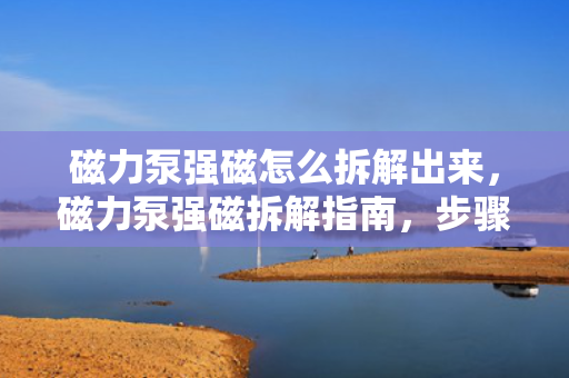 磁力泵强磁怎么拆解出来，磁力泵强磁拆解指南，步骤详解与注意事项
