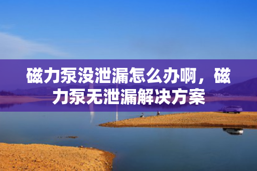 磁力泵没泄漏怎么办啊，磁力泵无泄漏解决方案