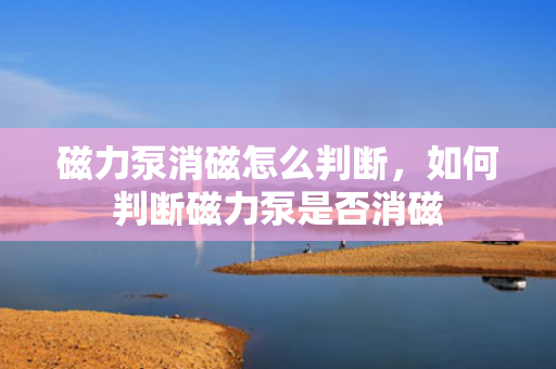 磁力泵消磁怎么判断，如何判断磁力泵是否消磁