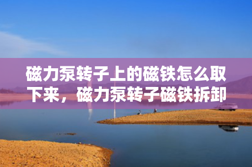 磁力泵转子上的磁铁怎么取下来，磁力泵转子磁铁拆卸方法