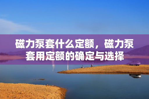 磁力泵套什么定额，磁力泵套用定额的确定与选择