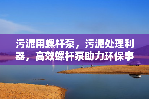 污泥用螺杆泵，污泥处理利器，高效螺杆泵助力环保事业