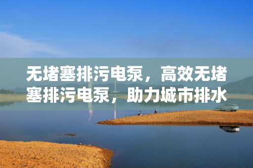 无堵塞排污电泵，高效无堵塞排污电泵，助力城市排水系统顺畅运行
