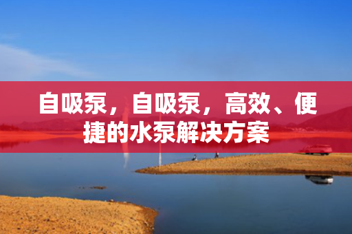 自吸泵，自吸泵，高效、便捷的水泵解决方案