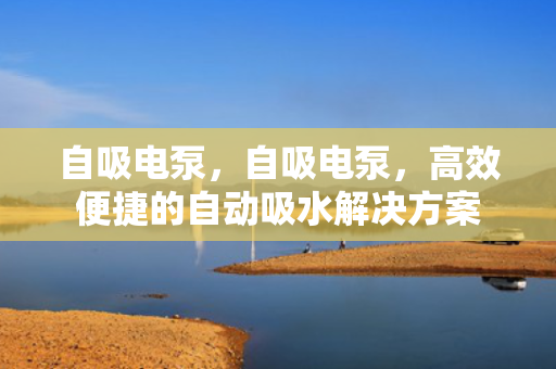 自吸电泵，自吸电泵，高效便捷的自动吸水解决方案