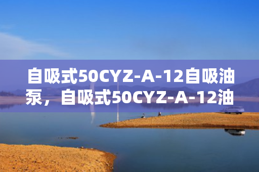 自吸式50CYZ-A-12自吸油泵，自吸式50CYZ-A-12油泵，高效自吸，轻松解决油泵难题