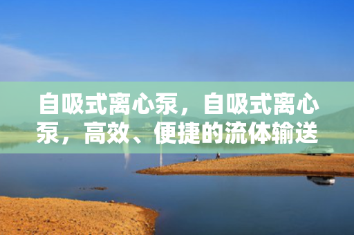 自吸式离心泵，自吸式离心泵，高效、便捷的流体输送解决方案