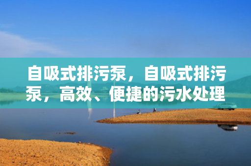 自吸式排污泵，自吸式排污泵，高效、便捷的污水处理解决方案