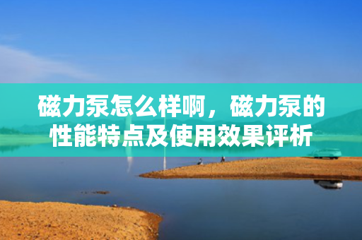 磁力泵怎么样啊，磁力泵的性能特点及使用效果评析