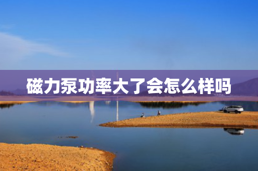 磁力泵功率大了会怎么样吗