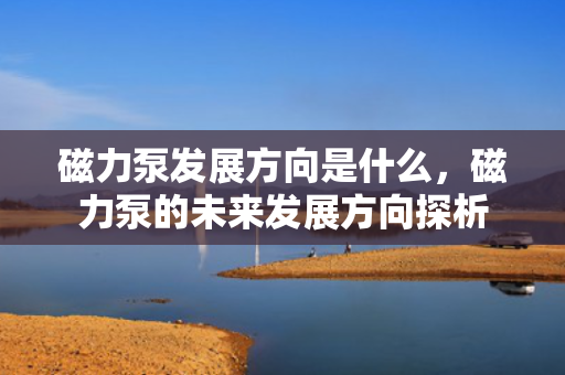 磁力泵发展方向是什么，磁力泵的未来发展方向探析
