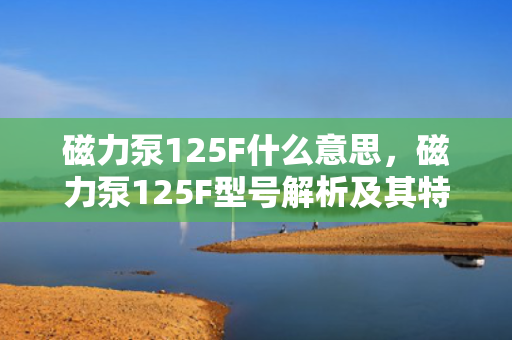磁力泵125F什么意思，磁力泵125F型号解析及其特点