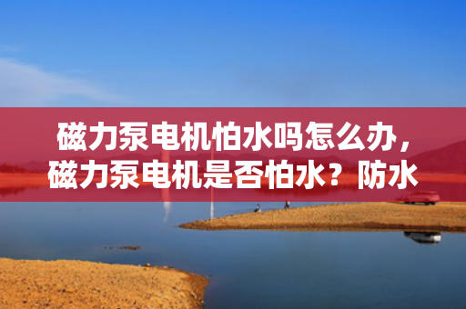 磁力泵电机怕水吗怎么办，磁力泵电机是否怕水？防水措施与解决方案