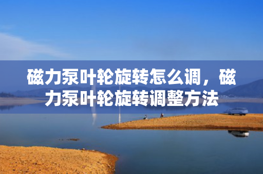 磁力泵叶轮旋转怎么调，磁力泵叶轮旋转调整方法