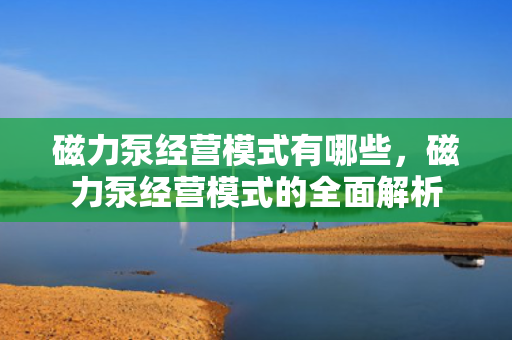 磁力泵经营模式有哪些，磁力泵经营模式的全面解析