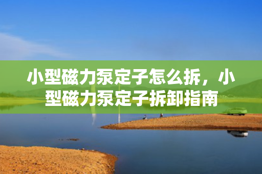 小型磁力泵定子怎么拆，小型磁力泵定子拆卸指南