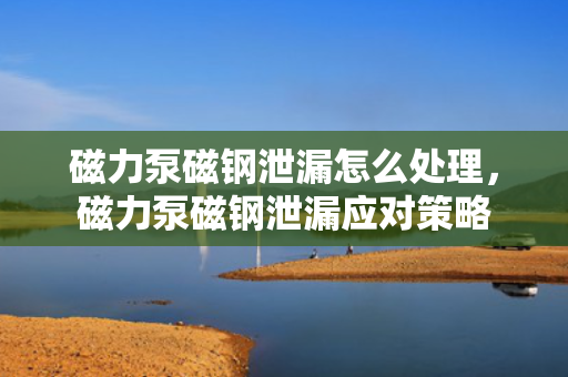 磁力泵磁钢泄漏怎么处理，磁力泵磁钢泄漏应对策略