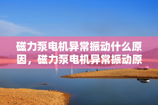 磁力泵电机异常振动什么原因，磁力泵电机异常振动原因解析