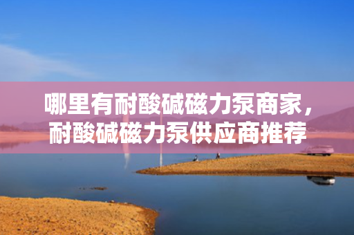 哪里有耐酸碱磁力泵商家，耐酸碱磁力泵供应商推荐