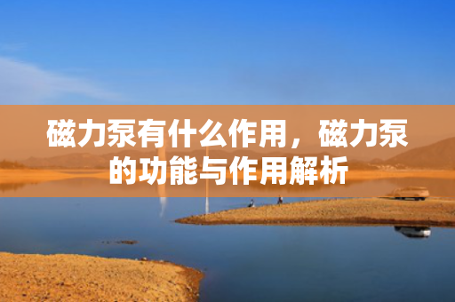磁力泵有什么作用，磁力泵的功能与作用解析