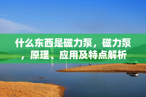 什么东西是磁力泵，磁力泵，原理、应用及特点解析