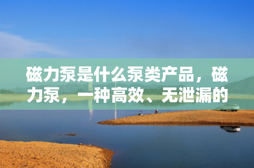 磁力泵是什么泵类产品，磁力泵，一种高效、无泄漏的泵类产品