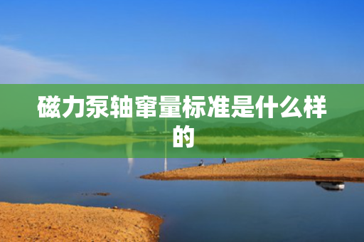 磁力泵轴窜量标准是什么样的