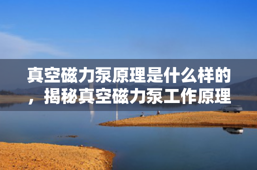 真空磁力泵原理是什么样的，揭秘真空磁力泵工作原理