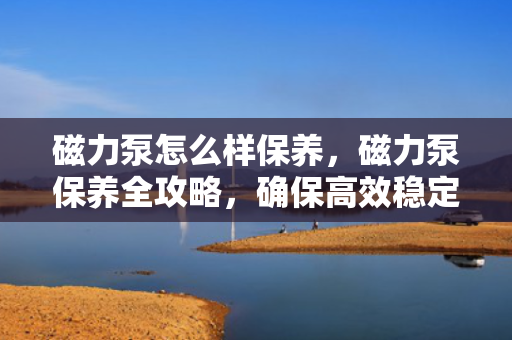 磁力泵怎么样保养，磁力泵保养全攻略，确保高效稳定运行的秘诀