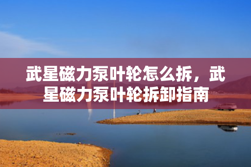 武星磁力泵叶轮怎么拆，武星磁力泵叶轮拆卸指南