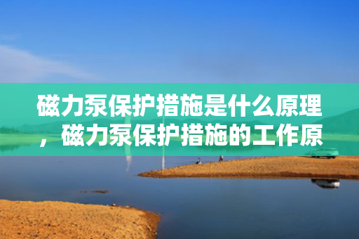 磁力泵保护措施是什么原理，磁力泵?；ご胧┑墓ぷ髟硐杲? title=