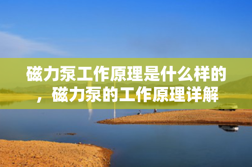 磁力泵工作原理是什么样的，磁力泵的工作原理详解