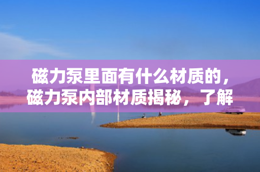磁力泵里面有什么材质的，磁力泵内部材质揭秘，了解其核心构成材料
