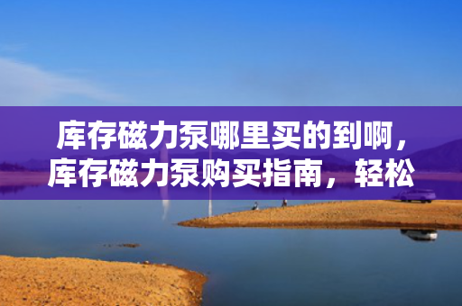 库存磁力泵哪里买的到啊，库存磁力泵购买指南，轻松找到可靠购买渠道
