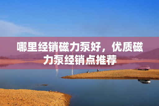 哪里经销磁力泵好，优质磁力泵经销点推荐