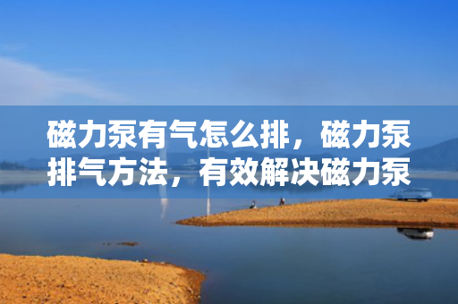 磁力泵有气怎么排，磁力泵排气方法，有效解决磁力泵内气体问题